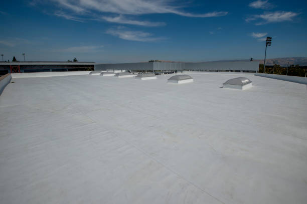 Best Skylight Installation and Repair  in Ithaca, MI