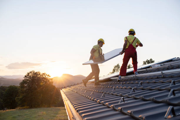 Best Skylight Installation and Repair  in Ithaca, MI