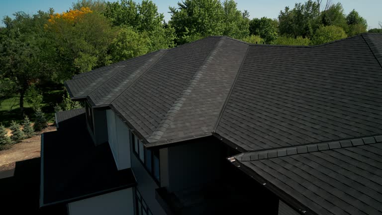 Best Asphalt Shingle Roofing  in Ithaca, MI