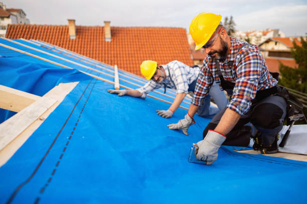 Best Roof Moss and Algae Removal  in Ithaca, MI
