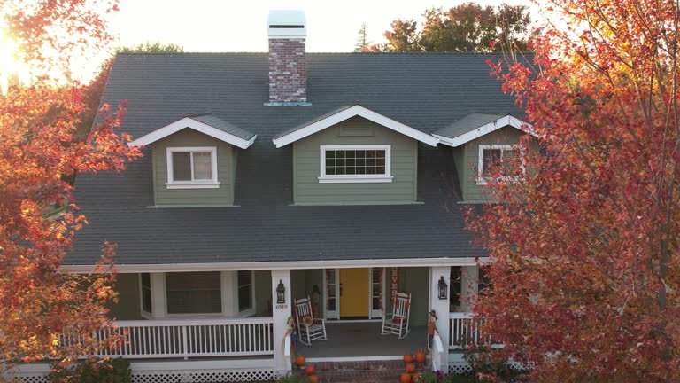 Best Hot Roofs  in Ithaca, MI