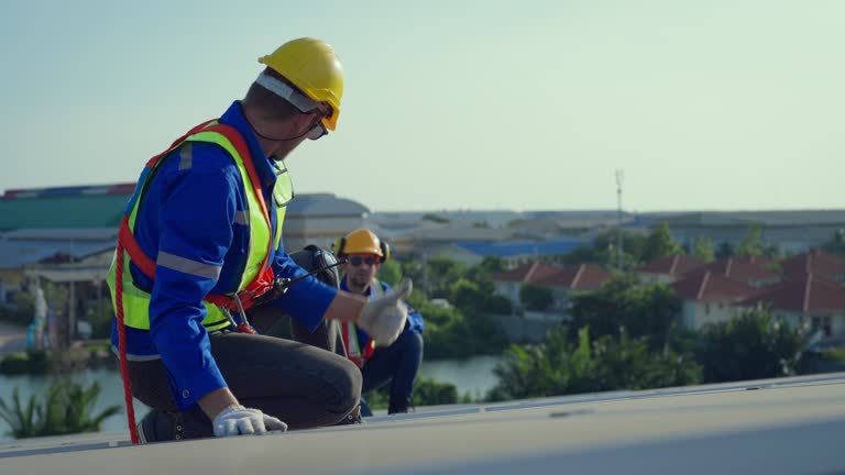 Best Roof Maintenance and Cleaning  in Ithaca, MI