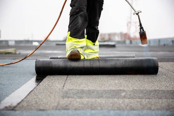 Best Roof Inspection  in Ithaca, MI