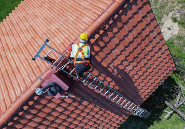 Best Sheet Metal Roofing  in Ithaca, MI