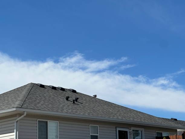 Best Green or Eco-Friendly Roofing Solutions  in Ithaca, MI